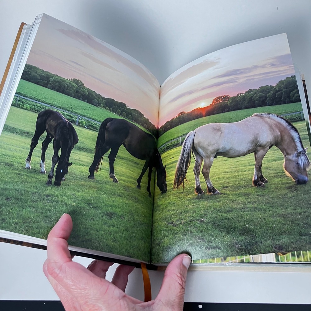 Thomas Nelson Book 100 Devotions from Horse Farm Cara Whitney Hardcover Brown - Picture 3 of 13